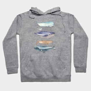 whales family Hoodie